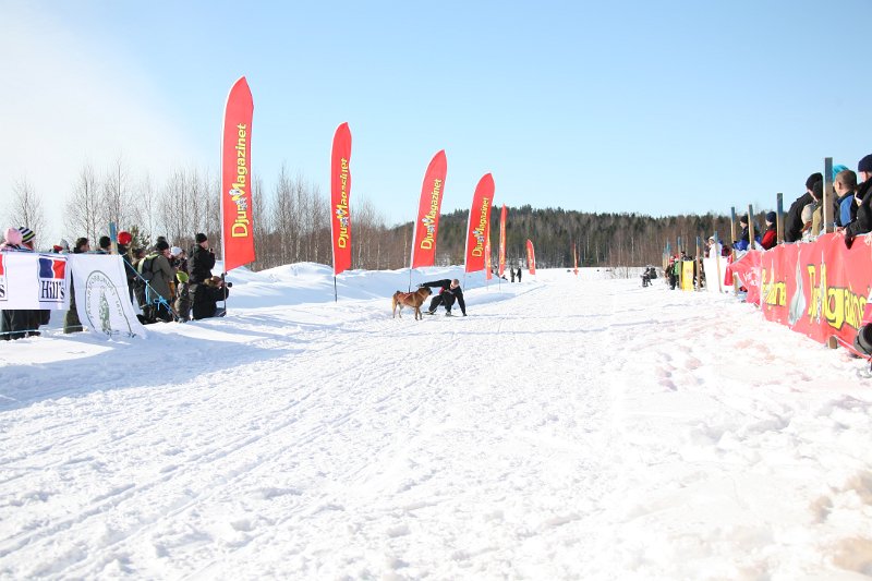 IMG_1458.JPG