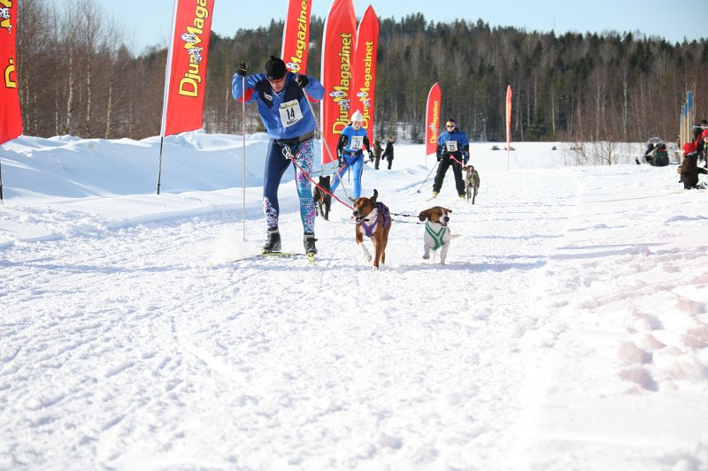 IMG_1480.JPG