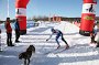 IMG_1235