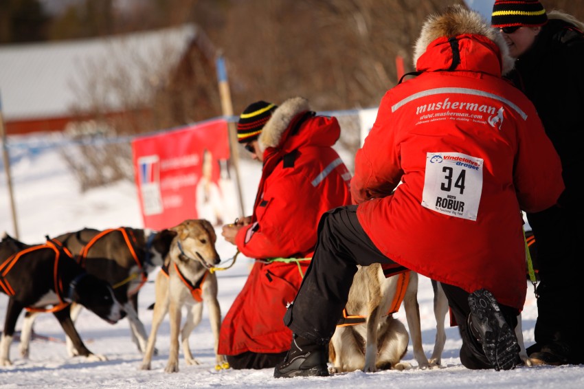 _MG_7048.jpg
