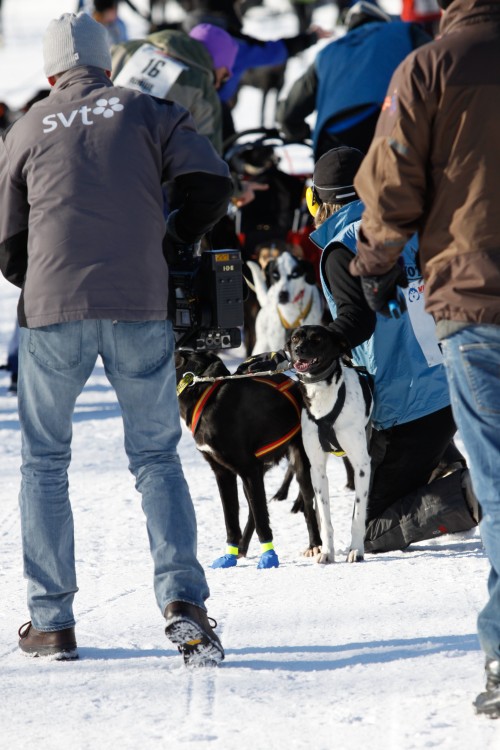 _MG_7166.jpg
