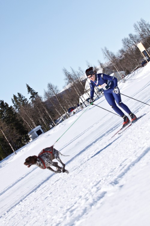 _MG_7433.jpg