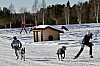 IMG_7805.jpg