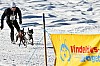 IMG_7815.jpg