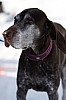 _MG_7117.jpg
