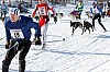 _MG_7235.jpg