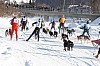 _MG_7250.jpg