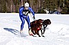 _MG_7379.jpg