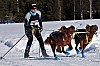 _MG_7396.jpg