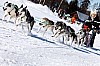 _MG_7440.jpg