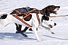 _MG_7652.jpg