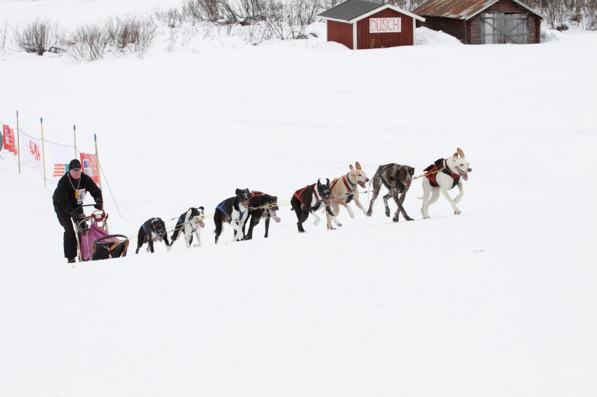 _MG_8316.jpg