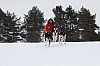 _MG_8008.jpg _MG_8008.jpg