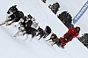 _MG_8018.jpg _MG_8018.jpg