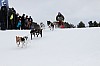 _MG_8071.jpg _MG_8071.jpg