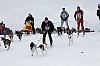 _MG_8086.jpg _MG_8086.jpg