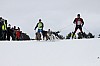 _MG_8115.jpg _MG_8115.jpg