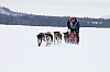 _MG_8186.jpg _MG_8186.jpg