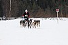 _MG_8358.jpg _MG_8358.jpg