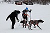 _MG_8491.jpg _MG_8491.jpg
