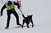 _MG_8523.jpg _MG_8523.jpg
