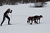 _MG_8538.jpg _MG_8538.jpg