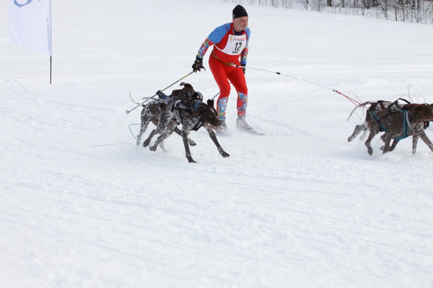 _MG_8651.jpg