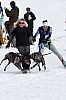 _MG_8619.jpg _MG_8619.jpg