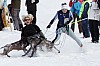 _MG_8620.jpg _MG_8620.jpg