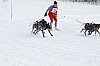 _MG_8651.jpg _MG_8651.jpg