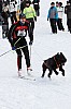 _MG_8656.jpg _MG_8656.jpg