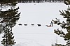 _MG_8660.jpg _MG_8660.jpg
