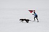 _MG_8741.jpg _MG_8741.jpg