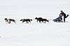 _MG_8756.jpg _MG_8756.jpg