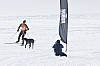 _MG_8812.jpg _MG_8812.jpg