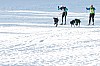 _MG_8829.jpg _MG_8829.jpg
