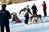 _MG_8844.jpg _MG_8844.jpg
