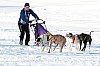_MG_8851.jpg _MG_8851.jpg