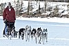 _MG_8870.jpg _MG_8870.jpg
