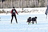 _MG_8881.jpg _MG_8881.jpg