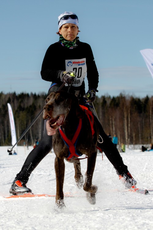_MG_9370.jpg