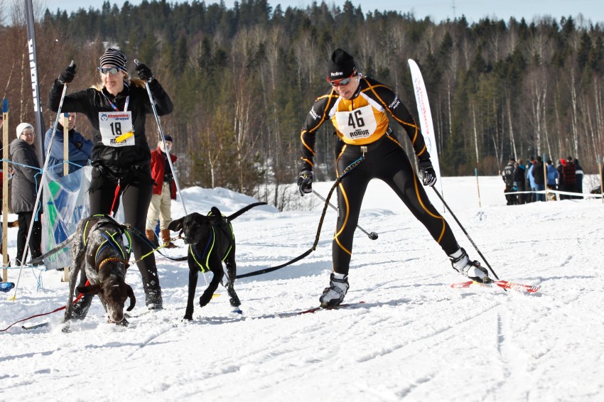 _MG_9425.jpg