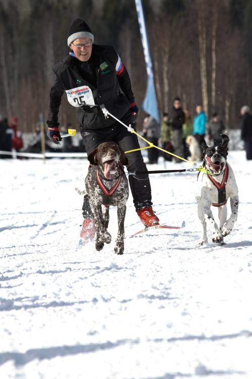 _MG_9482.jpg