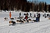 _MG_9081.jpg _MG_9081.jpg