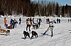 _MG_9083.jpg _MG_9083.jpg