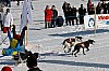 _MG_9177.jpg _MG_9177.jpg