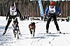 _MG_9311.jpg _MG_9311.jpg
