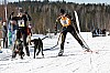 _MG_9425.jpg _MG_9425.jpg
