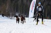 _MG_9564.jpg _MG_9564.jpg