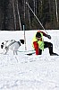 _MG_9587.jpg _MG_9587.jpg